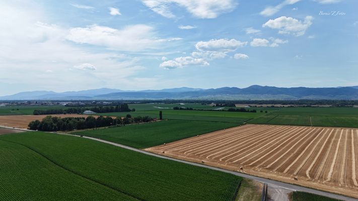 Vol au dessus de la plaine d'Alsace