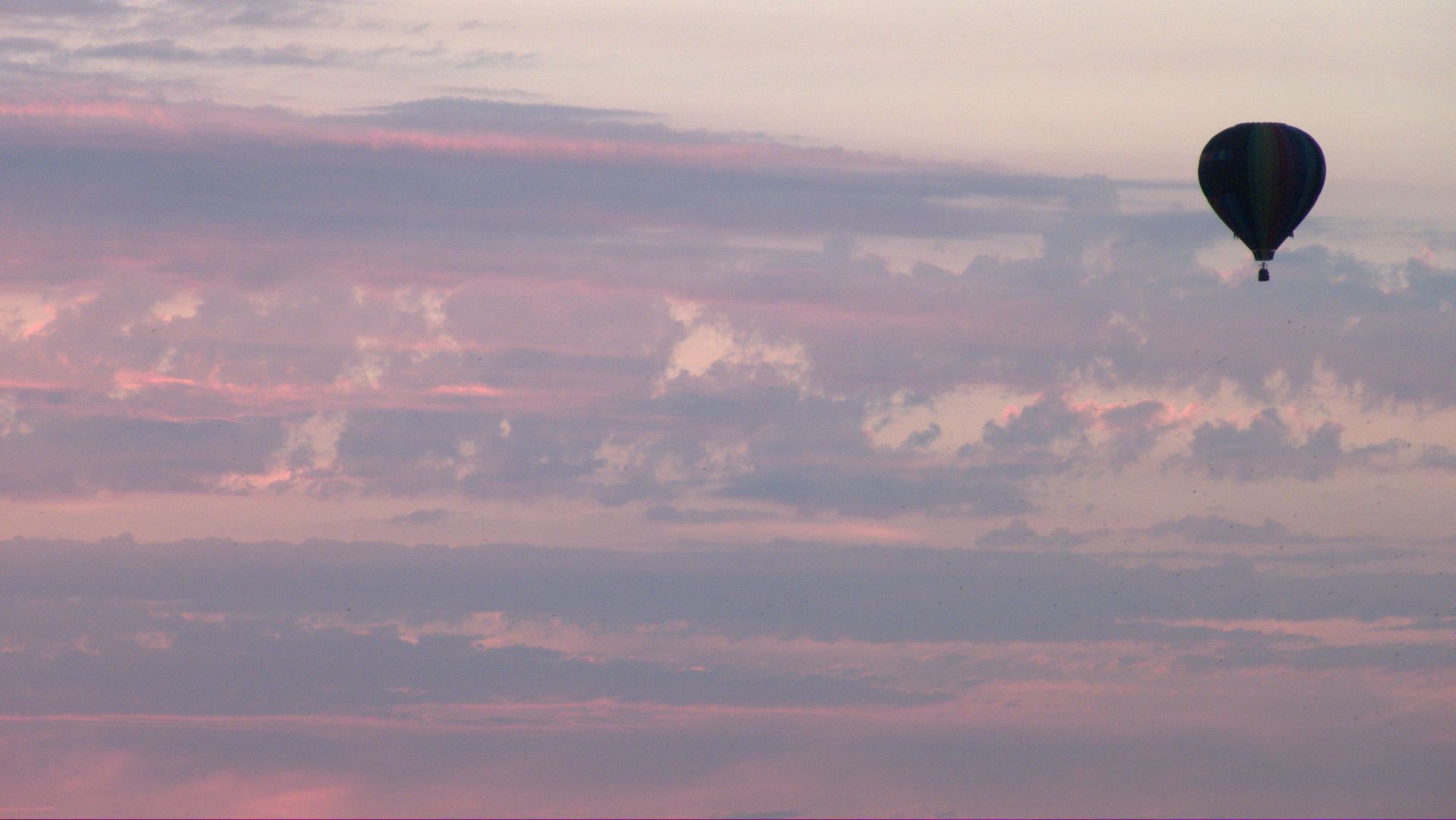 vol dans le ciel — fin de journée — fin d'été