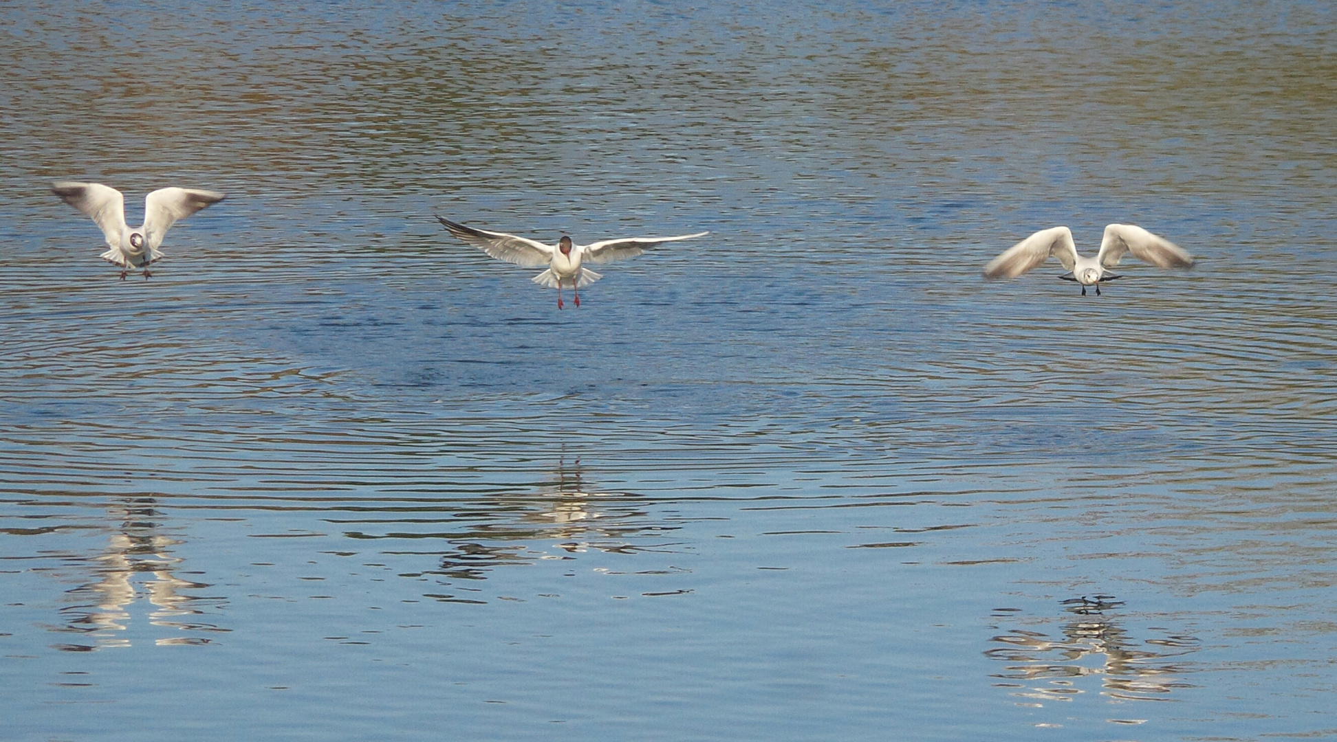 vol en escadrille