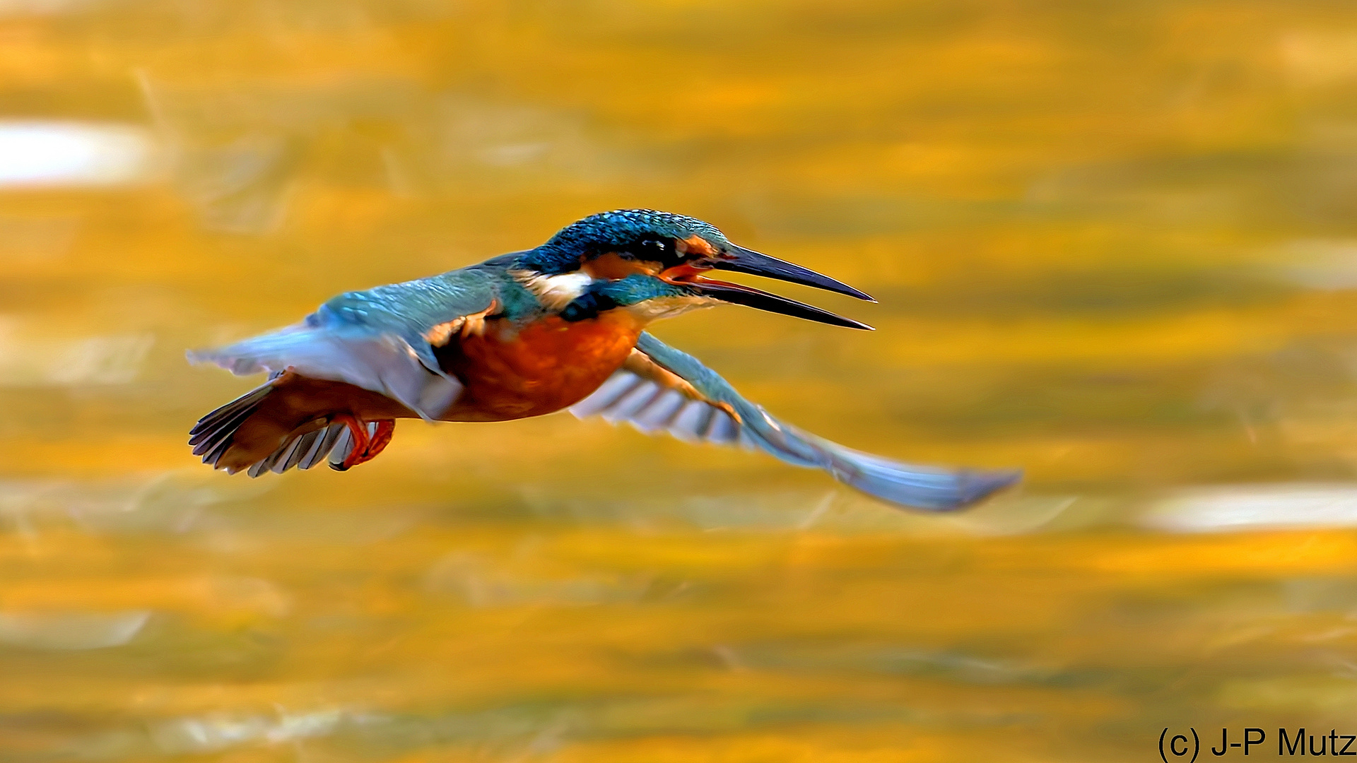 Vol sur un lac d'or - Flug über den Goldsee