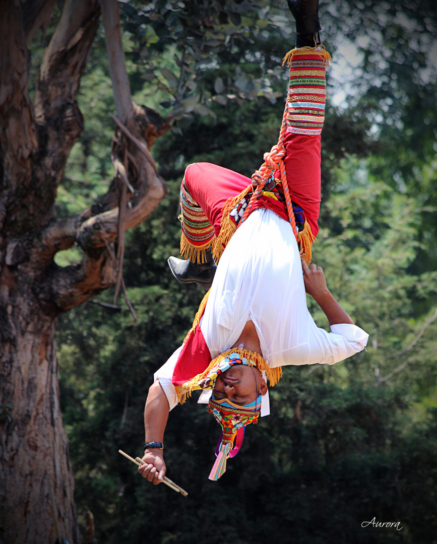 VOLADORES DE PAPANTLA