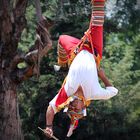 VOLADORES DE PAPANTLA