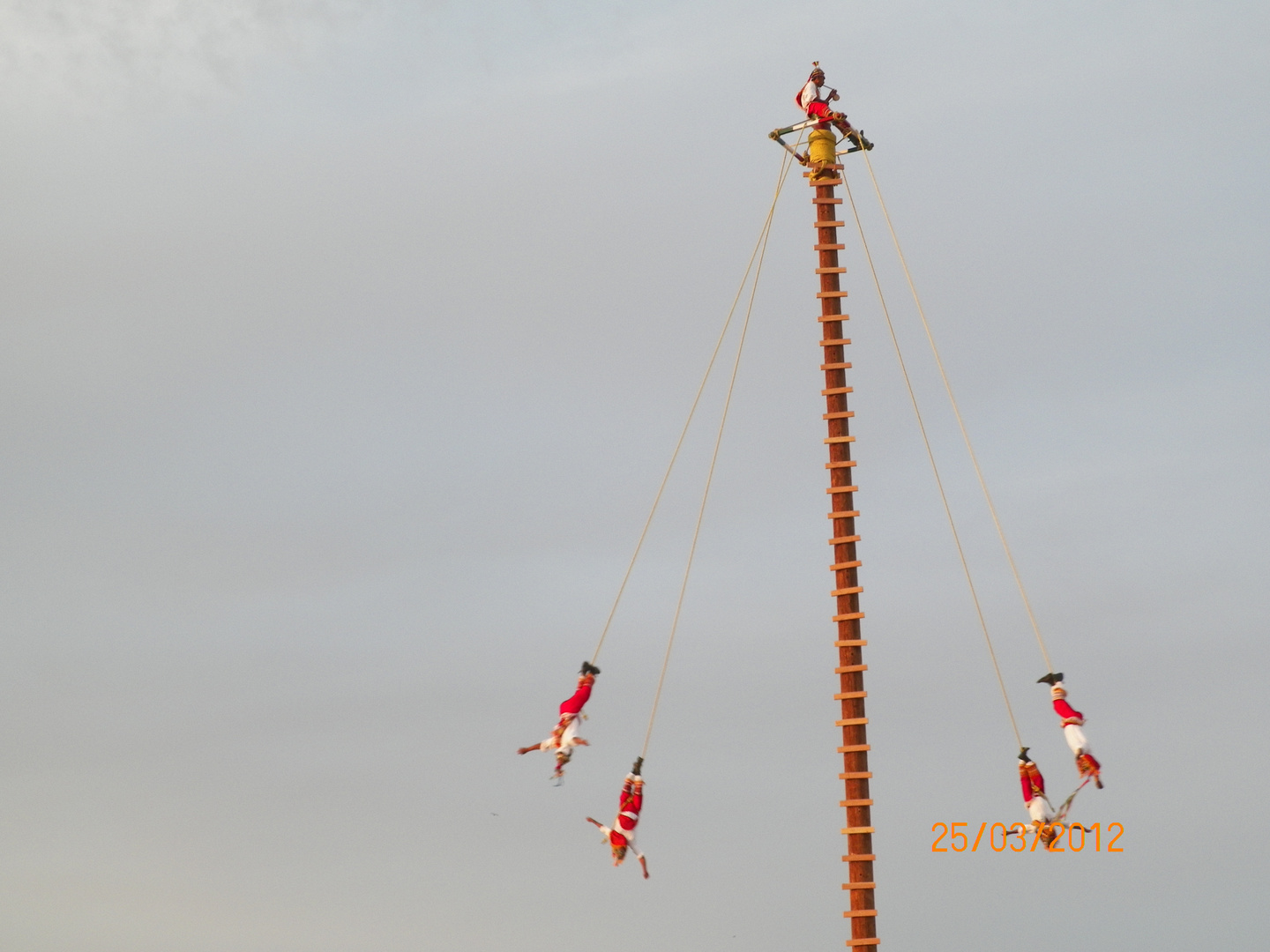 VOLADORES DE PAPANTLA LA PAZ BCS MEX