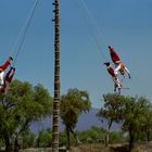 voladores sur fond de teotihuacan