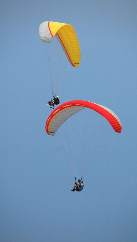 VOLANDO 3