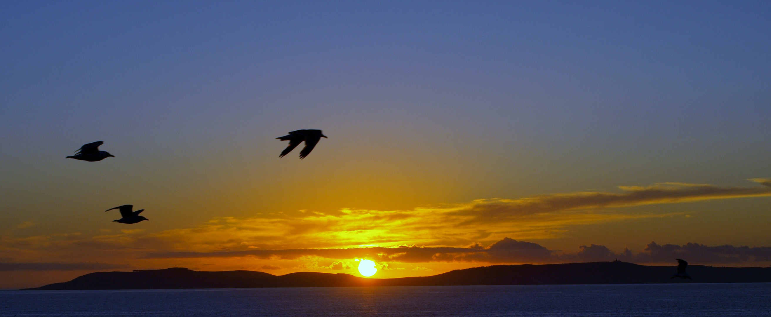 VOLANDO AL SOL