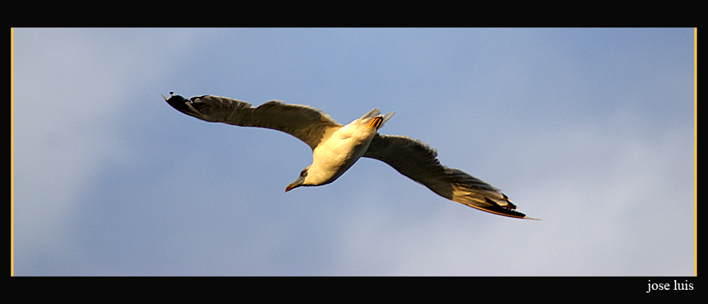 Volando con el Sol