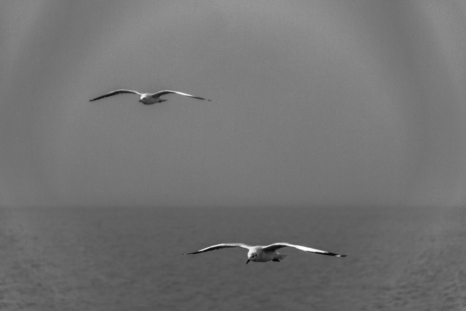 VOLANDO EN ESCUADRON Y EN LA NIEBLA