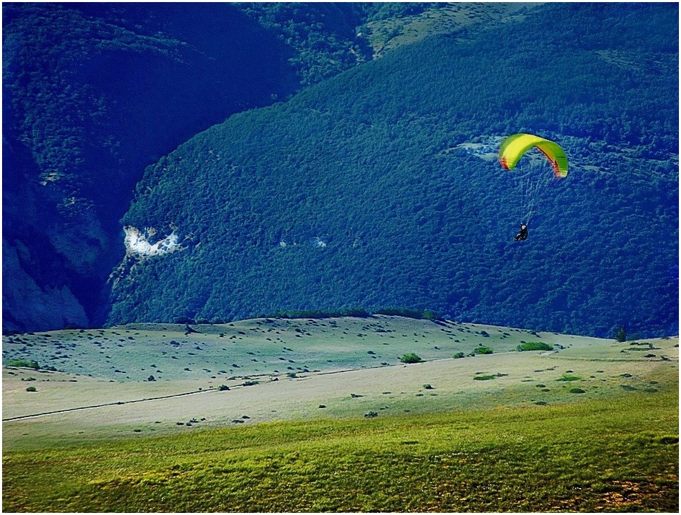 Volando qua e là.........