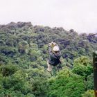 Volando sobre la selva