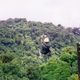 Volando sobre la selva