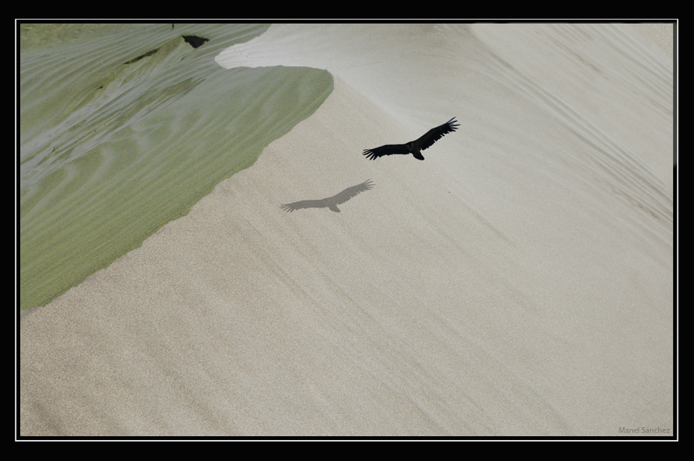 volando-sobre-las-dunas