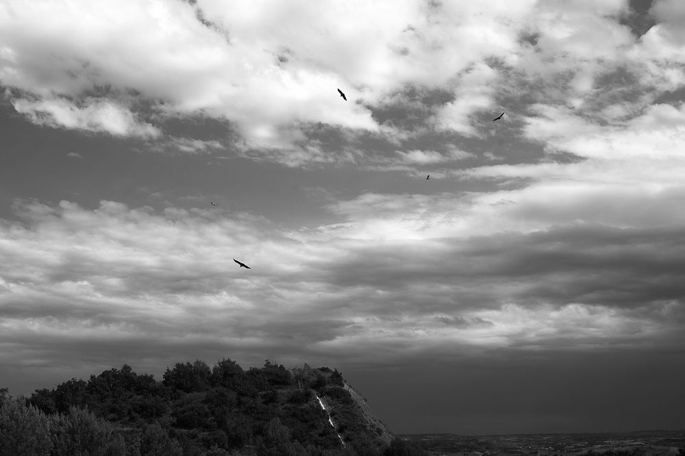 Volando sobre nosotros / Fliegen oben auf uns