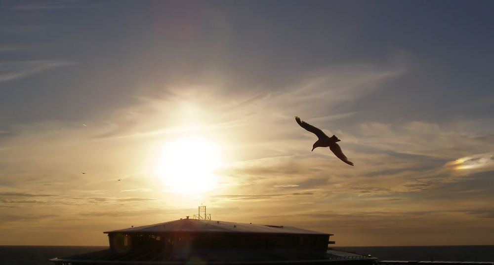 Volando sui cieli dell'olanda...