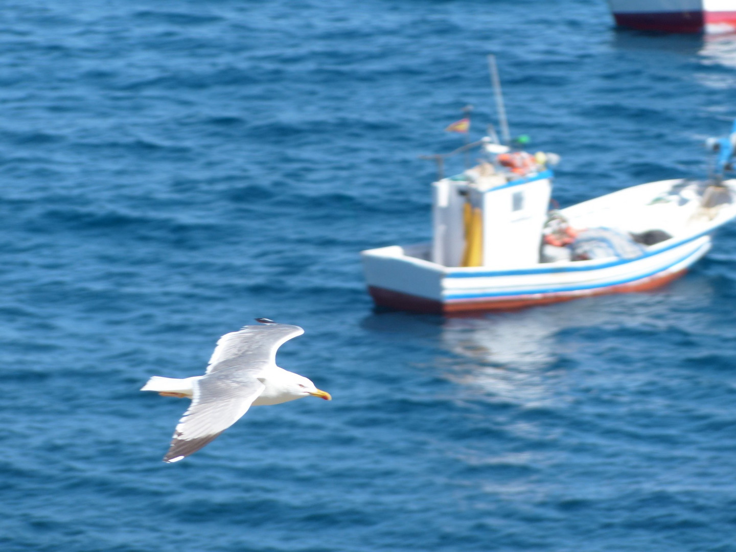 Volando voy