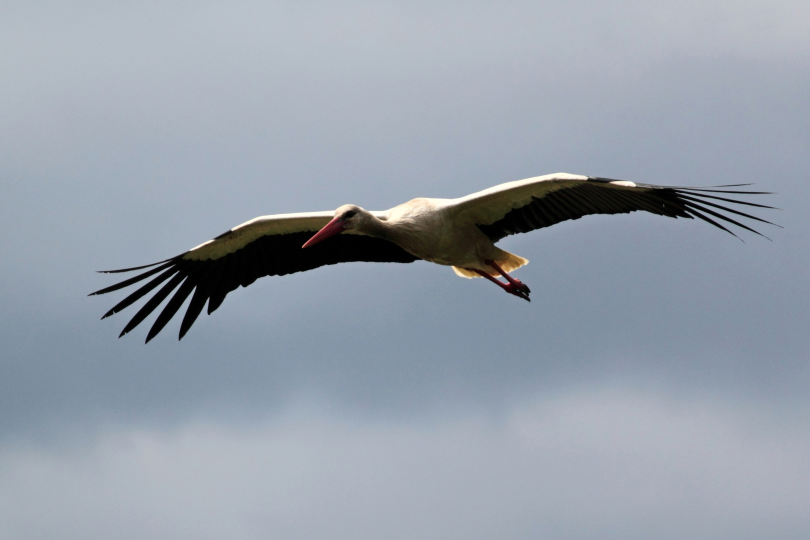 VOLAR..................................