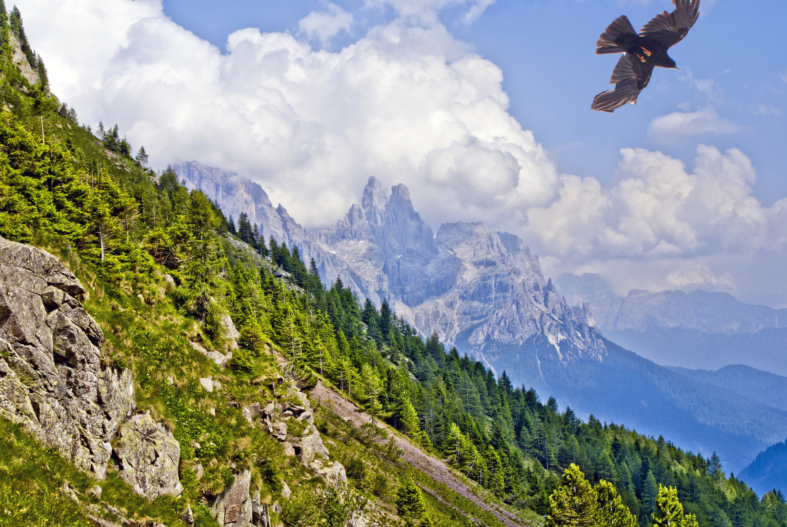 Volare tra le cime