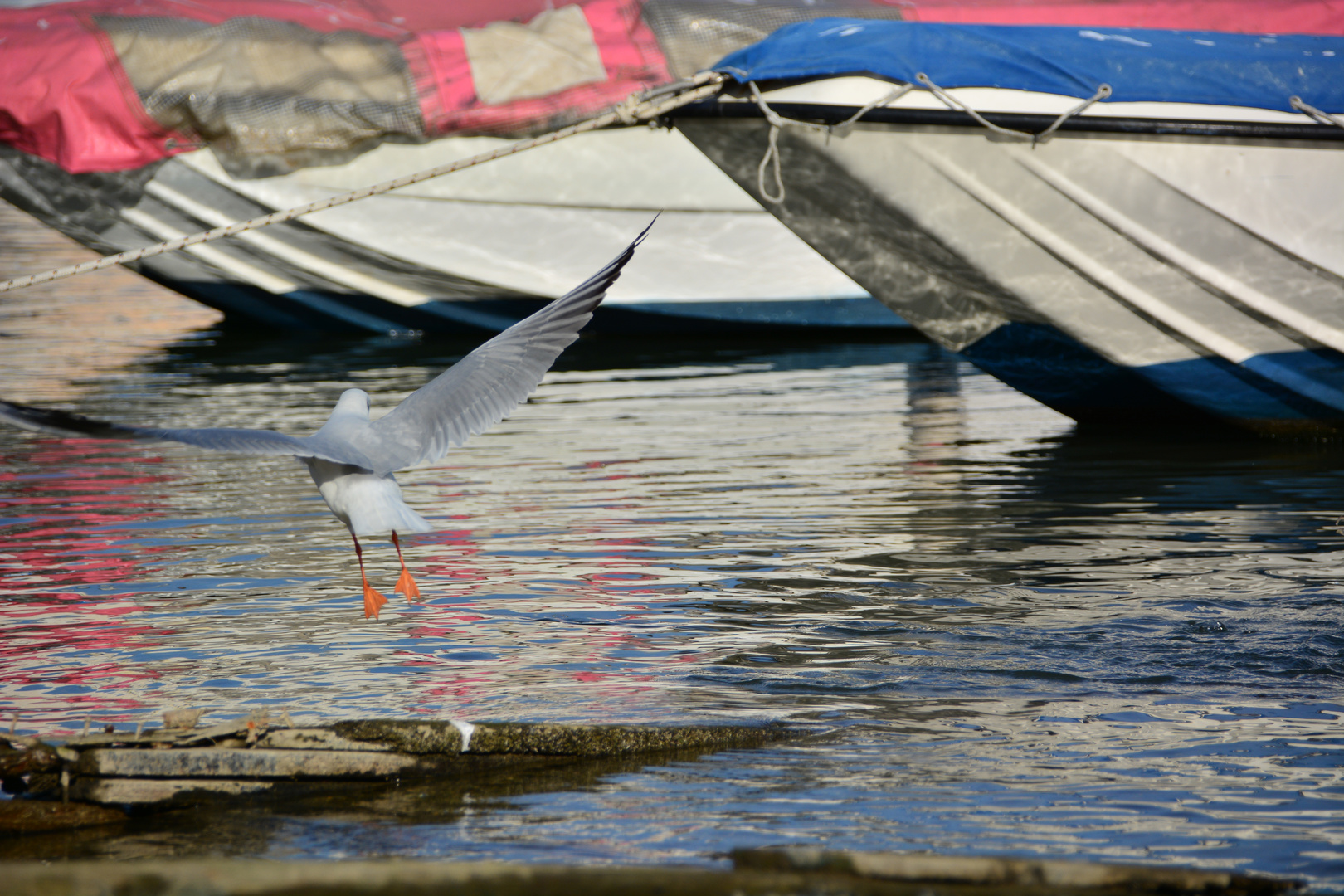 volare via