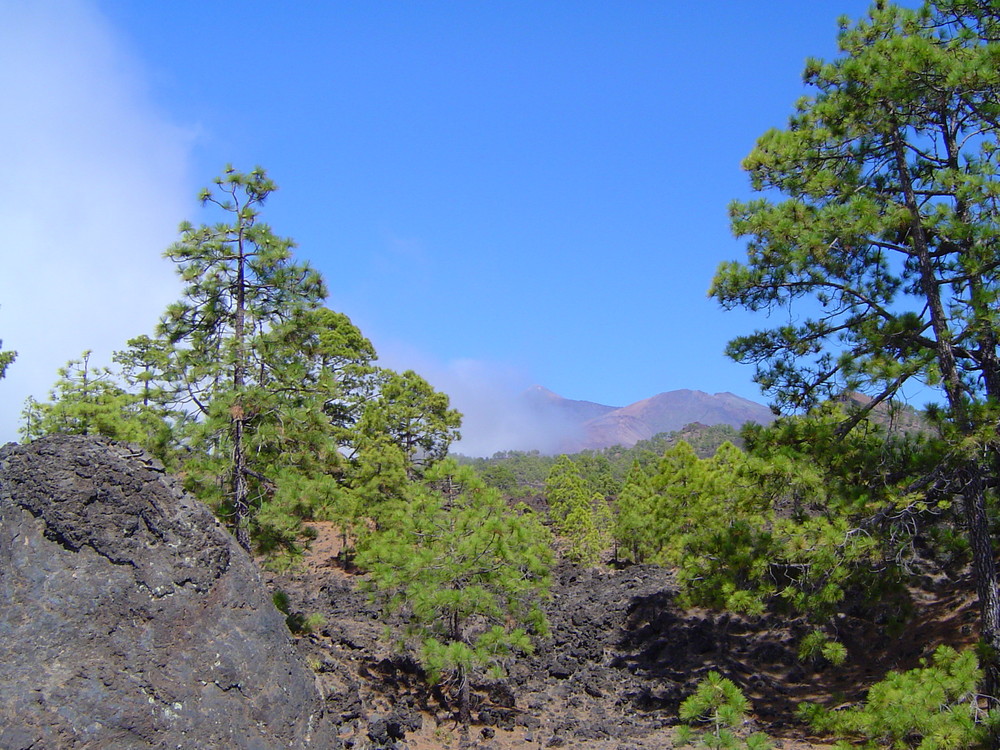 Volcan