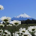 Volcan a traves de Manzanillones