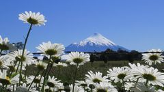 Volcan a traves de Manzanillones