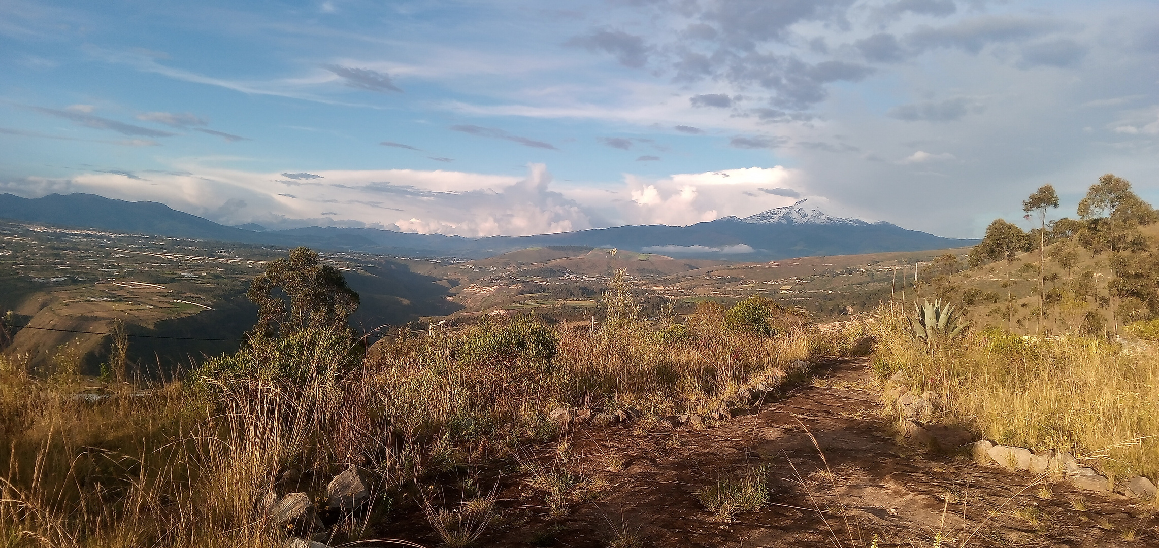 Volcan Cayambe