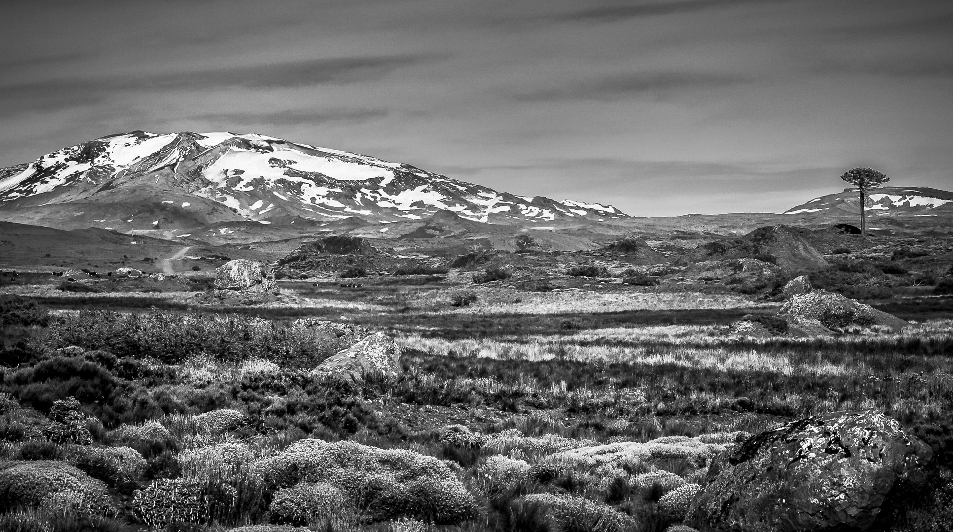 Volcán Copahue