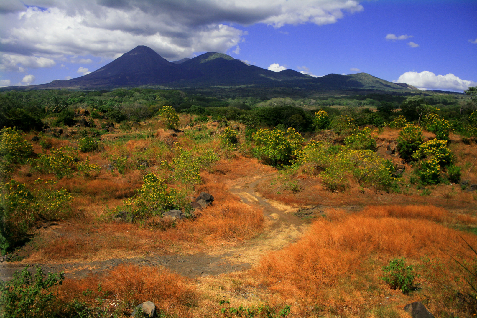 Volcán de Izalco, El Salvador