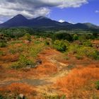 Volcán de Izalco, El Salvador