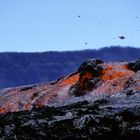 Volcán de la Fournaise 3