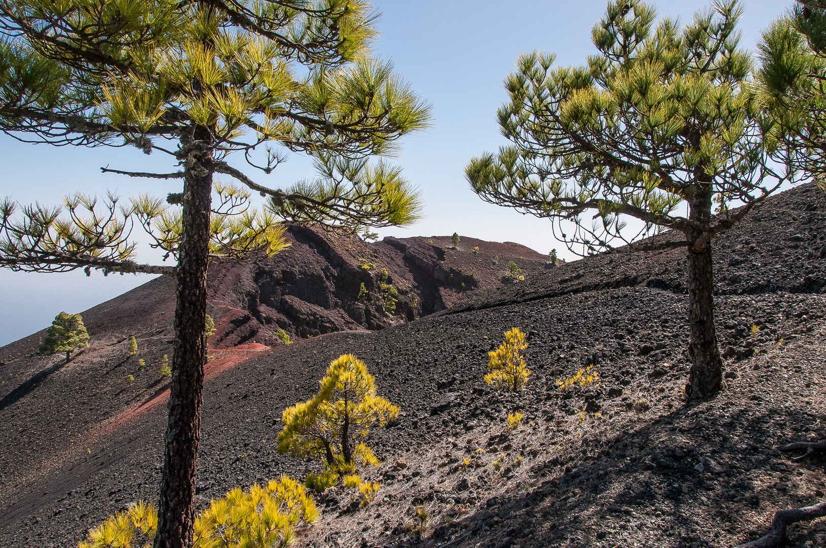 Volcan de Martin