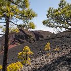 Volcan de Martin