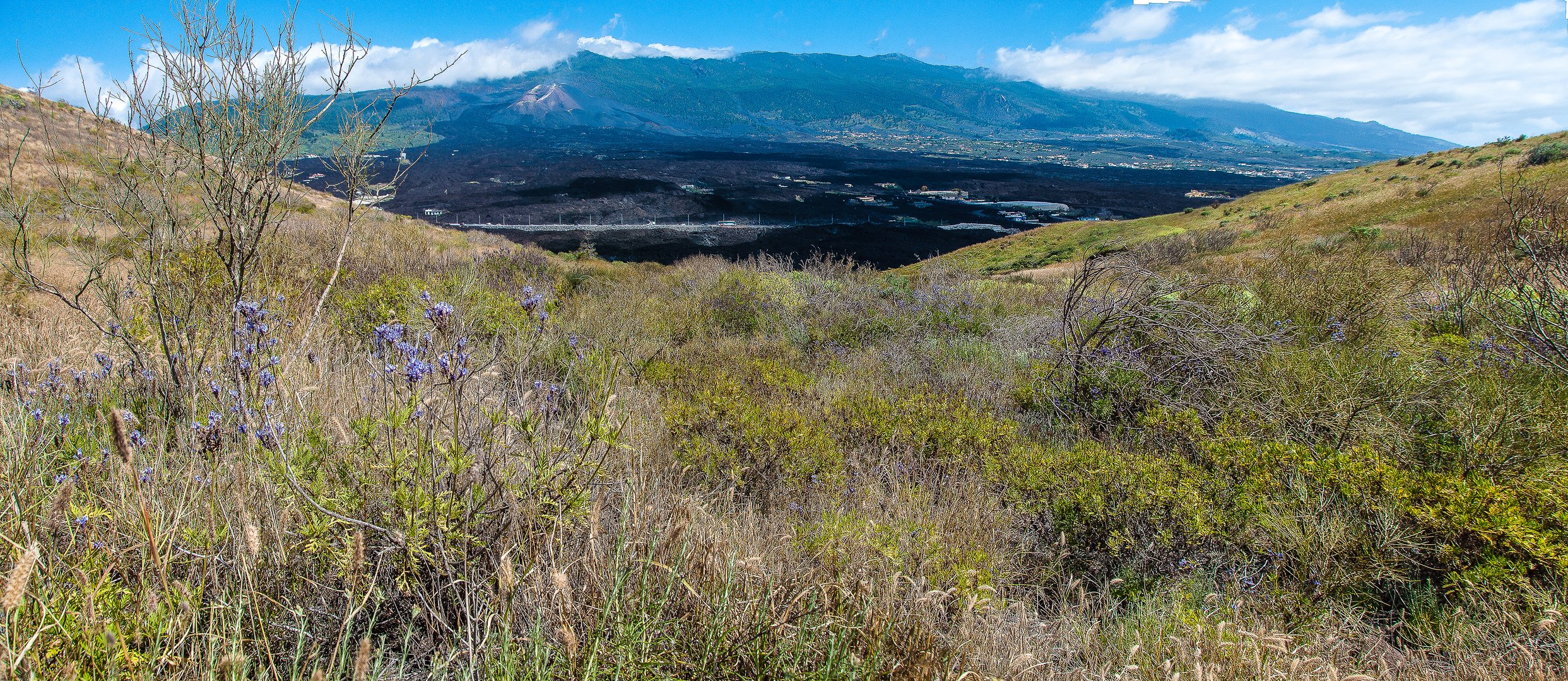 Volcan de Tajogaite