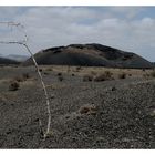 Volcan del Cuervo (2)