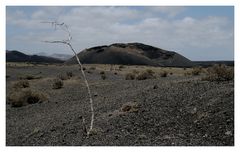 Volcan del Cuervo (2)