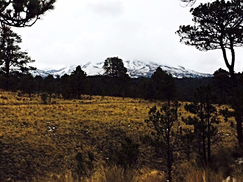 Volcán iztaccihuatl