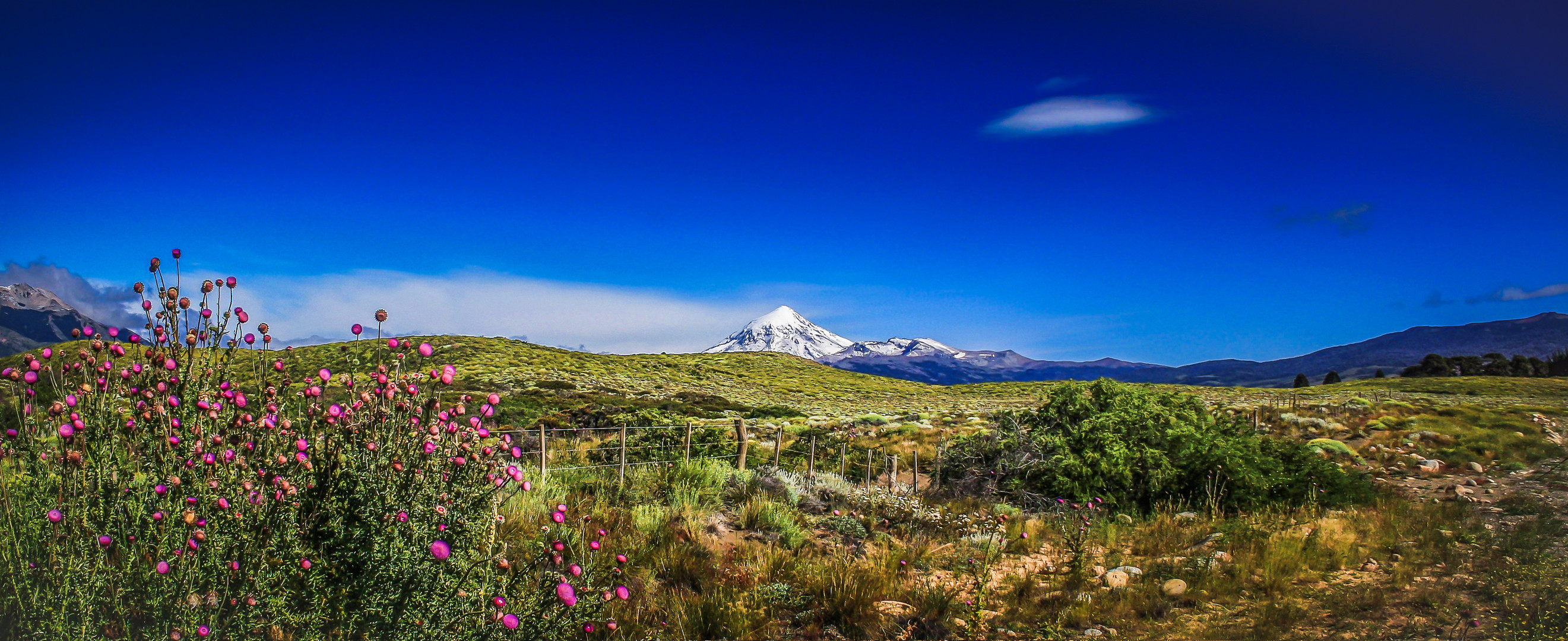 Volcán Lanín 