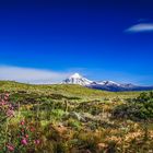 Volcán Lanín 