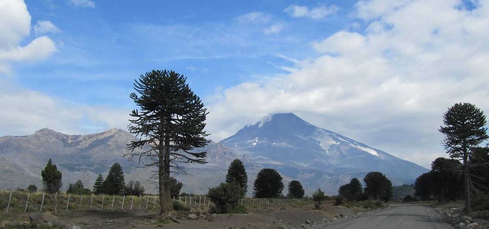 Volcan Lanin