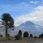 Volcan Lanin