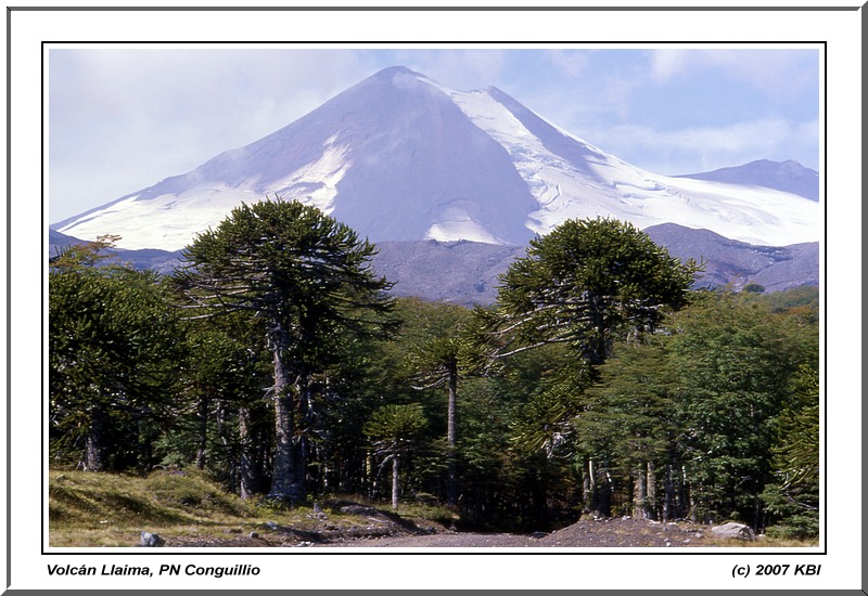 Volcán Llaima, PN Conguillio