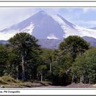 Volcán Llaima, PN Conguillio