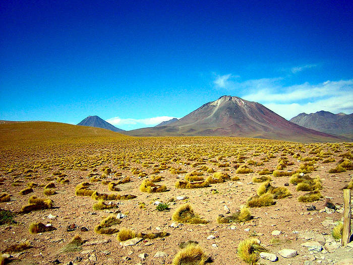 Volcan Miscanti...