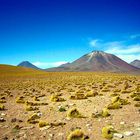 Volcan Miscanti...