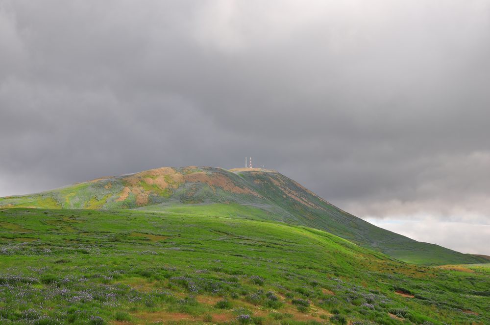 volcan vert - grüne landschaft