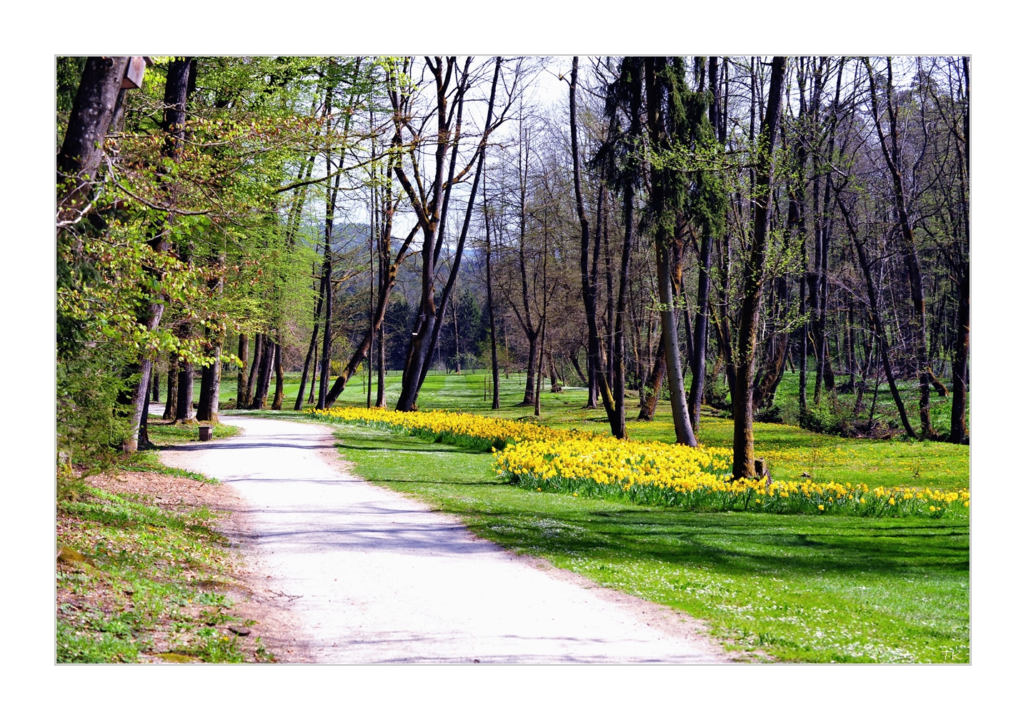 Volcji potok, Slovenia_01