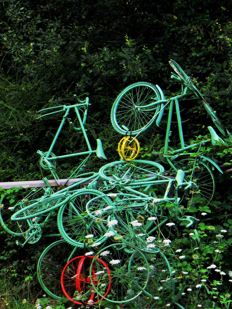 volée de vélos verts, (volés?) jetés dans la nature...