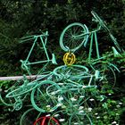 volée de vélos verts, (volés?) jetés dans la nature...