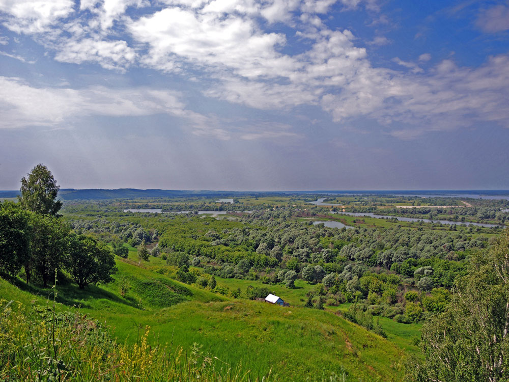 Volga Bald Mountain