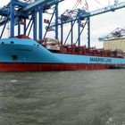 Volga Maersk